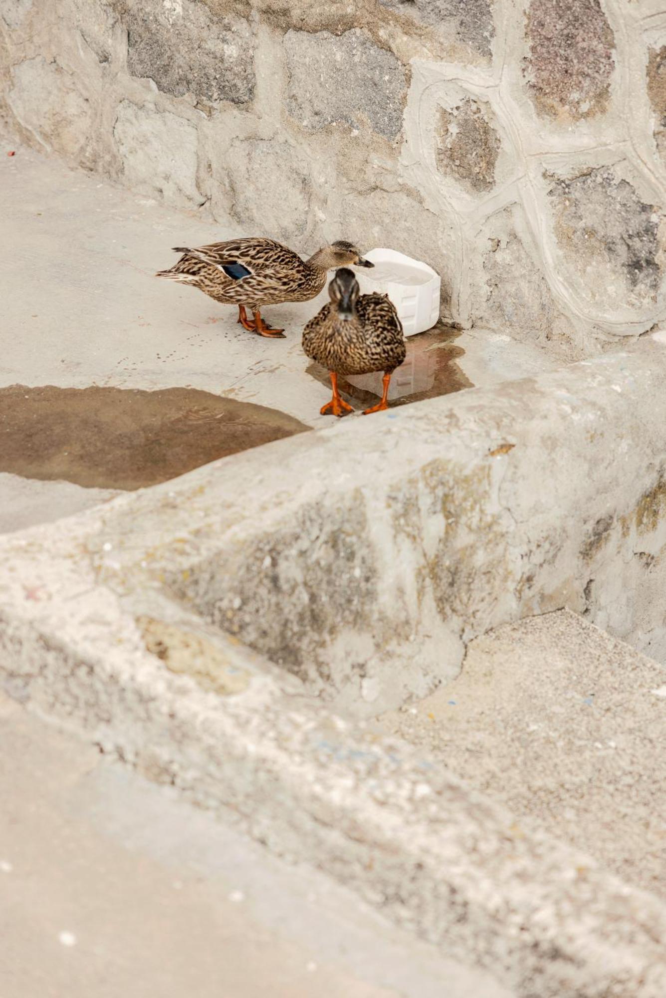 Vila Piscaria Procida Exteriér fotografie